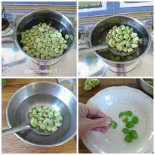 Una volta tolte dal baccello, infatti, le fave fresche si possono conservare congelate con pochi semplici accorgimenti per averle sempre pronte all'uso. Come Congelare Le Fave Scuola Di Cucina Il Cuore In Pentola