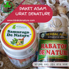 Obat Rematik Dan Asam Urat Asam Urat Obat Alami Herbal
