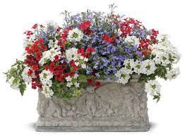 Red white and blue flowers for window boxes. Patriotic Flowers And Combinations Proven Winners