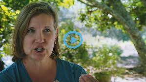 LNA Corporate TTT — Late Nite Art