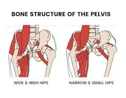 Shelley Hips Dips Glutes Workout Glute Activation De todos modos opino que es algo de lo que no hay que obsesiónarse, los hips dips son algo natural e igual de bonito a su vez que una cadera redondeada, simplemente cada uno somos distintos y únicos. shelley hips dips glutes workout