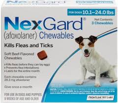I applied for aos and combo card last week. How To Get Rid Of Fleas According To Veterinarians