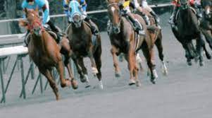 【レース概要】2022年4月16日（土曜）2回阪神7日 発走時刻：15時30分天候 晴芝 良11レース第31回 アーリントンカップ（gⅲ）1600メートル（芝・右 . Ryhbordnriwg M