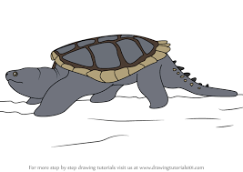 Turtle drawing cartoon, turtle, animals, vertebrate png. Learn How To Draw Common Snapping Turtle Turtles And Tortoises Step By Step Drawing Tutorials