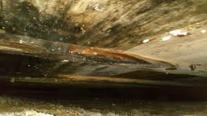 Image result for site:byggahus.se trossbotten