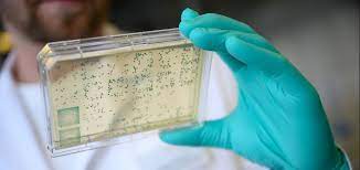 Curevac erklärte, sein impfstoff bleibe bei der lagerung zu kühlschranktemperaturen von fünf grad mindestens drei monate stabil, bei raumtemperatur seien es bis zu 24 stunden. Corona Vaccine Development In Germany