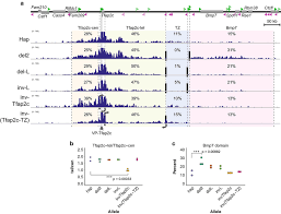 Non-boundary CTCF for organizing intra-domain chromatin folding. a The...