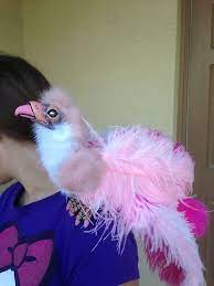 Intel Core I5 2300 Processor 2 8 Ghz 6 Mb Cache Socket Lga1155 Common Shopping Diy Art Dolls Bird Puppet Dragon Puppet