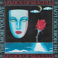 A Flock of Seagulls