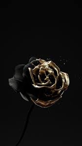 Aesthetic Black And Gold Pictures Roses Are Dead Vol 4 Black And Gold Black Dead Gold Roses Vol In 2020 Gold Aesthetic Black And Gold Aesthetic Black Aesthetic Wallpaper