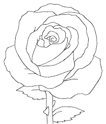 Rose Line Art Rose Drawing Simple Roses Drawing Rose Drawing