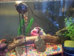 Awesome Floating Moored Mine Aquarium Decorations Secret Santa Aquarium Decorations Decor Aquarium