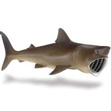 Le synonyme de requin pèlerin? S223429 Requin Pelerin Axse Le Monde Des Figurines