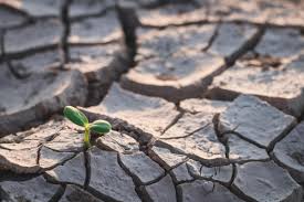 Quittons maintenant le monde de la mode pour explorer le second produit qui s'achète le plus en ligne. Croissance Demographique Rechauffement Climatique Besoins Energetiques Comment Vont Evoluer Les Besoins En Eau Dans Le Monde Centre D Information Sur L Eau