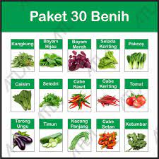 Jenis sayur sayuran bintang 5 yang jarang ditemui di pasar tradisional. Jual Grosir Paket 30 Benih Kebun Hidroponik Biji Bibit Jenis Sayur Sayuran Lengkap Di Lapak Desia Shop Bukalapak