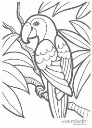 Adult coloring book pages coloring book art coloring tips colouring pages colored pencil techniques colouring techniques coloured pencils butterfly art colorful drawings. Tropical Parrot Print Color Fun