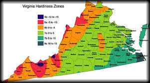 lushgreenva mid atlantic 2nd half vegetable planting dates