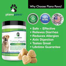 Pin On Dog Supplies