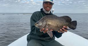 Georgia Fishing Report November 7 2020 Georgia Wildlife Blog
