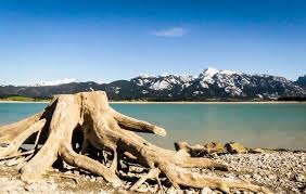 Forggensee is a lake located north of füssen in the district of ostallgäu in bavaria, germany. Der Forggensee Bei Fussen Der Geschichte Auf Den Grund Gehen