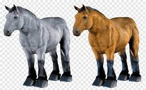 It is so rare that author of the equine tapestry is the first to talk about it (that i have found) and therefore named it. Roan Png Images Pngwing