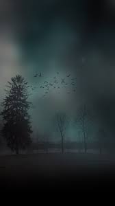 Be it the home screen, app drawer, or notification panel all android phones let you set a different wallpaper for the lock screen. Android Lock Screen Wallpaper 89 Images