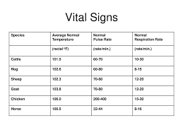 Animal Science Animal Health Ag Bas 14 A Ela10rc4 A Sb4