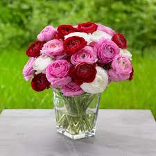 List of cut flowers with pictures. Long Lasting Cut Flowers Hgtv