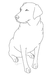 Maybe you would like to learn more about one of these? Labrador Retriever Drawing Easy Novocom Top