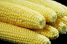 Sweet Corn Wikipedia