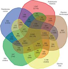 Venn Diagram Showing The Distribution Of Shared Gene Families Among Theobroma Cacao Arabidopsis Thaliana Populus Trichocarpa Venn Diagram Diagram Informative