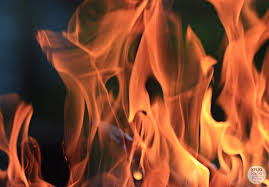 mark birkholz Archives