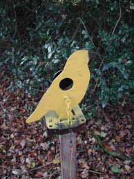 hunting field target