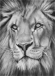 Watch out the detailed tutorial of. Realistic Drawings That Will Have You Raving Over The Details Bored Art