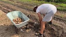 Bottega dell'orto - Società Agricola Bassan e figli