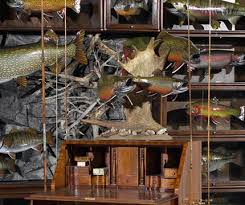 Brook Trout Replica And Fish Mount Gallery Advanced Taxidermy Fish Mounts Trout Taxidermy