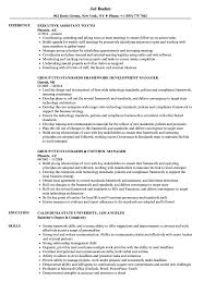 cto resume samples velvet jobs