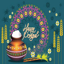 Pongal 2019 People Are Sharing Experiences On Whatsapp Sms And Other Social Media Circuits Pinkvilla To mark pongal, we have compiled a list of wishes you can use as messages and greetings.