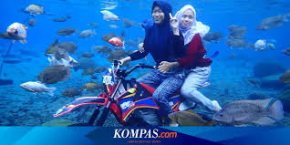 Tts umbul ponggok level 45. Murah Dan Menyenangkan Wisata Instagramable Dari Dana Desa