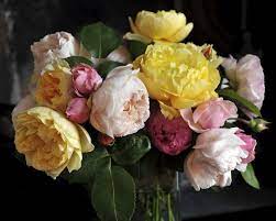 We did not find results for: 4 Flowers To Hold You Over Until The Next Peony Season