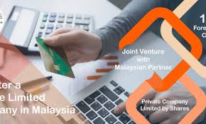 Requirements of public companies limited by shares in malaysia. Who Owns A Private Company Limited By Shares