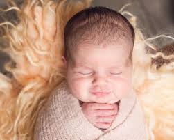 marthasvineyard newborn photographer: Some collected favorites — Maria  Thibodeau Photography