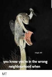 Stupid Shit You Know You Re In The Wrong Neighbourhood When Mt Meme On Me Me