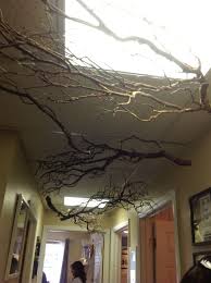 Branches Halloween Deco Halloween House Halloween Office