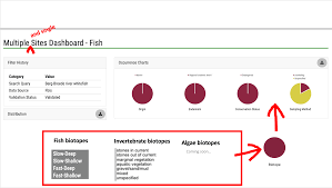 A Fourth Pie Chart For Single And Multi Site Dashboards