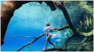 Danau labuan cermin berada di pulau derawan, kalimantan memiliki keunikan tersendiri. Potret Labuan Cermin Danau Di Kalimantan Timur Yang Cantik Memesona Tribun Travel