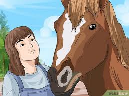How To Treat Ringworm In Horses 8 Steps With Pictures Wikihow