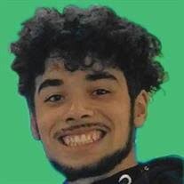 Mr. Nathaniel A. "Nate" Fabian Obituary