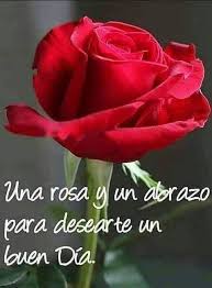 Buenos Dias Abrazo De Buenos Dias Rosas Hermosas Con Frases Rosas Con Mensajes