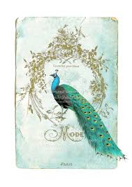Pin By Cbaca On Peacock Inspired Peacock Art Art Art Prints
